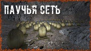 Паучья сеть S.T.A.L.K.E.R. ОП-2.2 Народная Солянка