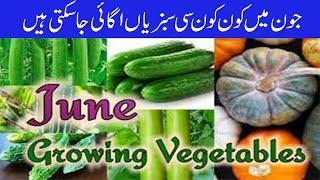 Growing Vegetables In June Month  june Mei Kon C Vegetable ko Grow Kar Skte Hai