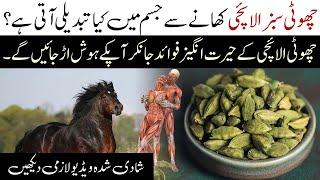 Amazing Benefits of Green Cardamom  Sabz Elaichi ke Fayde  Islamic Teacher Official