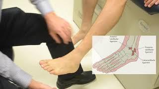 Anterior Drawer -  Ankle ATFL