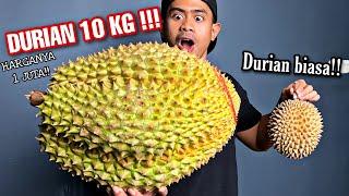 BUSET MUKBANG DURIAN RAKSASA SEBERAT 10 KG