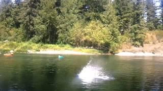 Bsal back flip rope swing