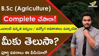 Courses After B.Sc Agriculture  Jobs After B.Sc Agriculture in Telugu Agriculture Careers in India