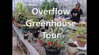 Overflow Greenhouse Tour