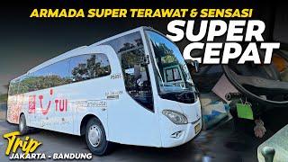 Jakarta - Bandung Cuma 70 Ribuan Bus Super Terawat & Sensasi Super Cepat  DayTrans - White Horse