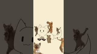 Chippi Chappa #cat #animation #shorts