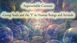 Supersensible Currents Group Soul & the I in Human Beings & Animals By Rudolf Steiner #audiobook