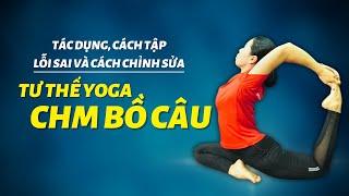 Tư thế Yoga Chim bồ câu - Tác dụng cách tập lỗi sai và cách chỉnh sửa  Kim Ba Yoga