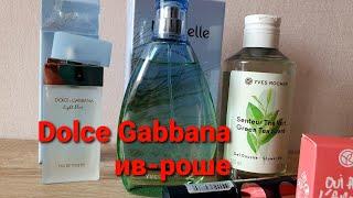 обзор и сравнение аромата Dolce Gabbana и Ив Роше naturelle