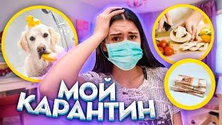 МОЙ ДЕНЬ НА КАРАНТИНЕ 24 ЧАСА  ЧЕМ ЗАНЯТЬСЯ? ИДЕИ