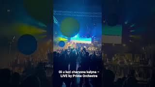 Oi u luzi chervona kalyna – LIVE by Prime Orchestra