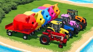 BIG & SMALL GIANT PIGS TRANSPORTING WITH DIFFERENT TRACTORS BATTLE & DEEP MUD FS22