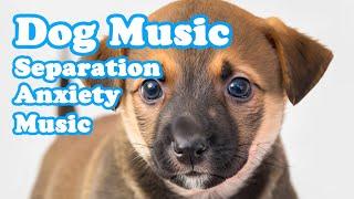 Music for Dogs Who are Alone Cure Separation Anxiety & Calming Stress Relief