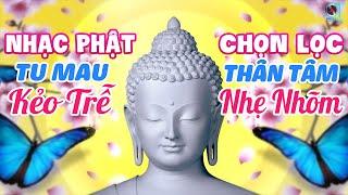 Nhạc Phật Giáo Chọn Lọc Đặc Sắc Hay Nhất - Nhạc Phật Nghe & Ngẫm Để Nhẹ Lòng Xua Tan Phiền Não