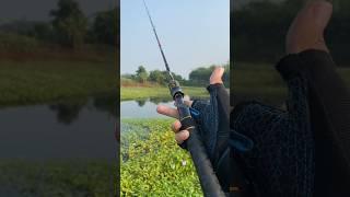 Review joran pancing UL DAIDO POMPANO #mancing