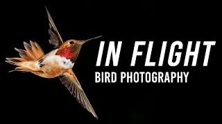 Birds In Flight Photography  With Lee Hoy