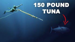 I Speared A GIANT Dogtooth Tuna...92 ft. deep