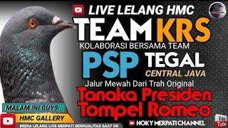 LIVE LELANG KOLABORASI TEAM KRS DAN PSP TEGALMERPATI BARON OFFICIALNEW RAMPOKBANG PEONGADIKANBS