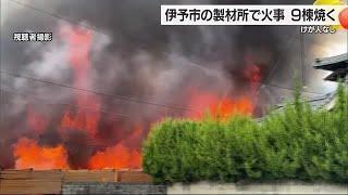 「乾燥機から出火」伊予市の製材所で火事　倉庫や付近の住宅など９棟焼く　約２時間半後に鎮圧【愛媛】 240930 1913