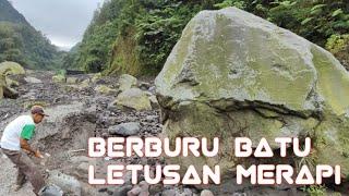 BERBURU BATU LETUSAN GUNUNG MERAPI