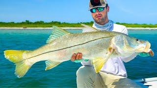 This Fish Took YEARS To Catch Beach Snook Fishing