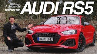 Audi RS5 Sportback - the perfect performance daily driver?