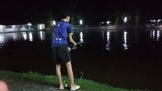 mancing kolam air tawar ikan patin