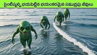 Most Bizarre Deep Sea Creatures Ever Discovered  facts in telugu  interesting facts in telugu