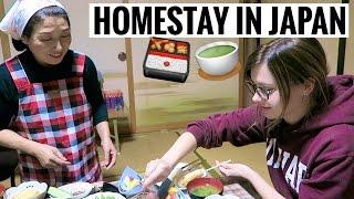 MY JAPANESE HOMESTAY EXPERIENCE Pt. 1