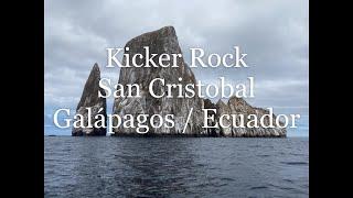 Hammerhaie am Kicker Rock - Scuba Diving - San Cristobal - Galápagos Ecuador -