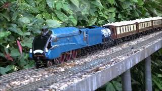 Mallard with a Pullman train and a Milk tanker for London - ASTER Gauge 1 live steam in the garden