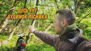 Літній коп по лісі та пасовищі. Пошук старовини в Україні.  КОП з металошукачем в 2024 році.
