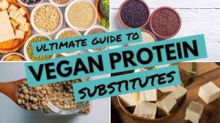 Ultimate Guide to Vegan Protein Substitutes  BEST Vegan Protein Sources