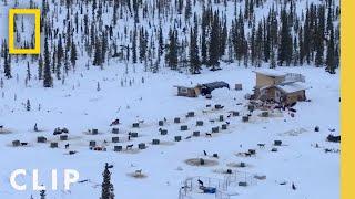 Building an Outhouse  Life Below Zero