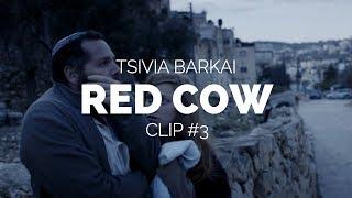 Red Cow Para Aduma - Tsivia Barkai Film Clip 3 Berlinale 2018