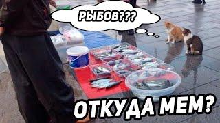 ВЫ  ПРОДАЕТЕ РЫБОВ??? - ОТКУДА МЕМ?  продаете нет показываю вы продаете рыбов