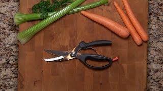 OXO Poultry Shears Extended Review