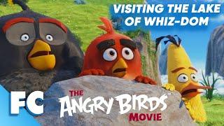 The Angry Birds Movie  Visiting The Lake Of Whiz-Dom Scene  Animated Movie Clip  FC