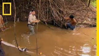 Brady Gets a Shock  Electric Eel