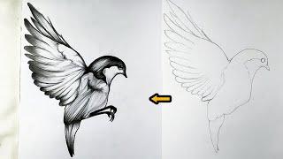 simply bird drawing  how to draw bird