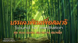 บรรเลงพิณเพื่อสมาธิ  Sound for meditation