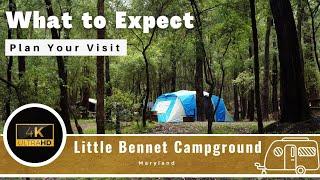 Vlog - Little Bennett Campground - Montgomery County Maryland - Full Review - What to Expect