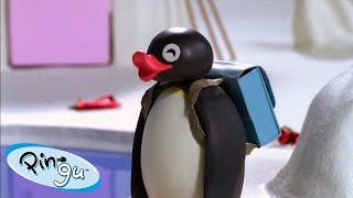 Best Episodes from Season 6  Pingu - Official Channel  Cartoons For Kids