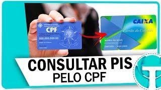 Como consultar o número do PIS pelo CPF na internet