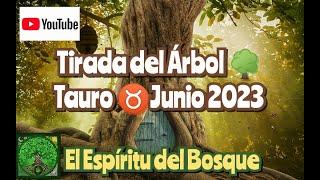 Tirada del árbol TAURO JUNIO 2023