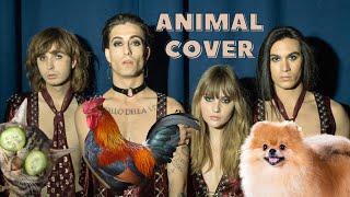 Måneskin - Zitti E Buoni Animal Cover  Insane Cherry style