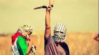 أعلنها الفلسطيني...أتحداك ماتبكي على فلسطين 