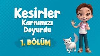 Pırıl 1. Bölüm - Kesirler Karnımızı Doyurdu