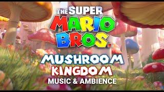 Super Mario Bros   Mushroom Kingdom Orchestral Music & Ambience with @ASMRWeekly