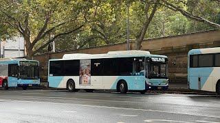 Transit Systems Sydney mo 8569 - Yutong E12 ZK6131HGE